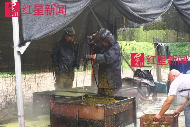 文玩核桃遇冷由幾萬一對降到5元沒人要？商戶否認(rèn)