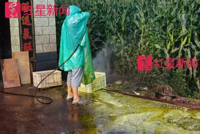 文玩核桃遇冷由幾萬一對降到5元沒人要？商戶否認(rèn)