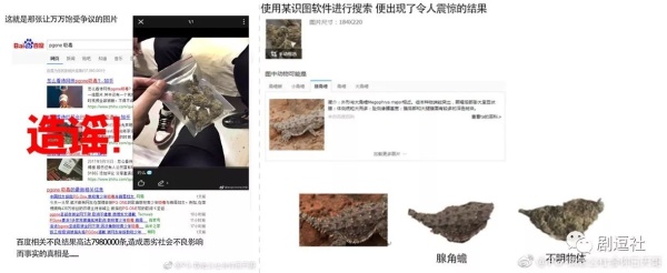 PGone又教給我們一個(gè)新詞：虐粉。