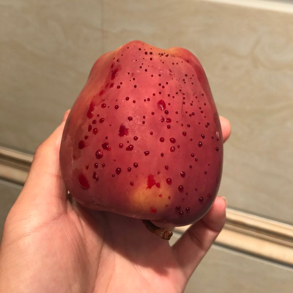 嚇懵！女子用熱水泡蘋果結(jié)果冒出血珠 咋回事？