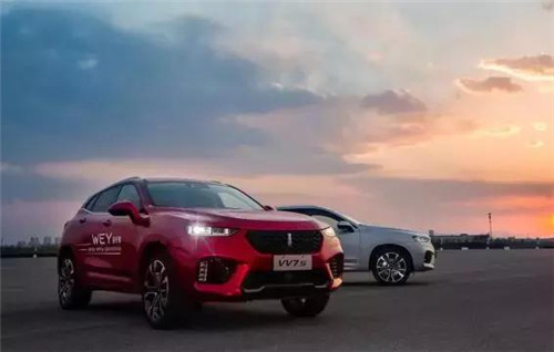 去年“蹦”出來的新汽車品牌們，現(xiàn)在活得怎么樣了？