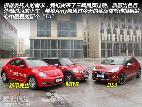 MINI、新甲殼蟲(chóng)、DS3