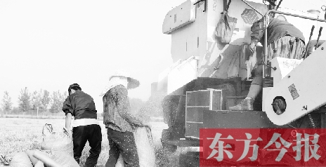 李正厚的妻子鮑本華（右）和一位村民拎著麻袋來到收割機前，接住傾倒出來的麥粒
