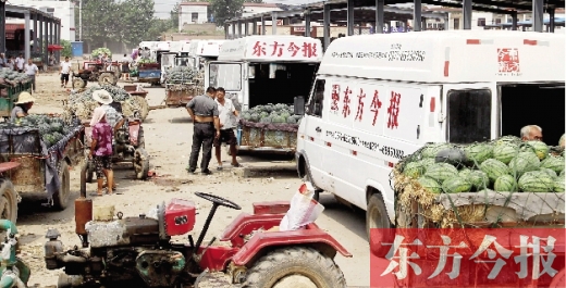 昨日，東方今報與河南福壽園聯(lián)合購瓜，只有更多的市民和企業(yè)加入購瓜行動，瓜農們才能早日回家