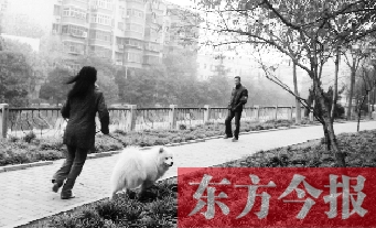 12月3日，鄭州市南關(guān)街熊兒河旁，一名遛狗的女子見到執(zhí)法人員檢查，迅速跑開