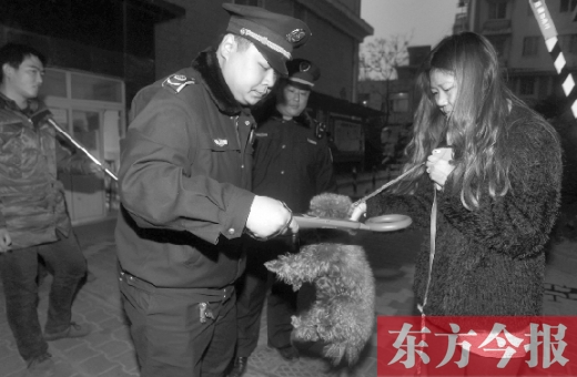 12月3日早上6點(diǎn)半，鄭州市南關(guān)街熊兒河旁，南關(guān)街辦事處的執(zhí)法人員對狗進(jìn)行排查