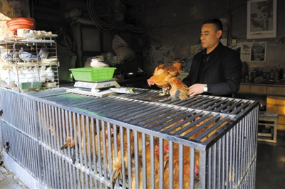 南京另一家農(nóng)貿(mào)市場(chǎng)內(nèi)待售的活雞。因南京出現(xiàn)H7N9禽流病例，買活雞的顧客減少。
