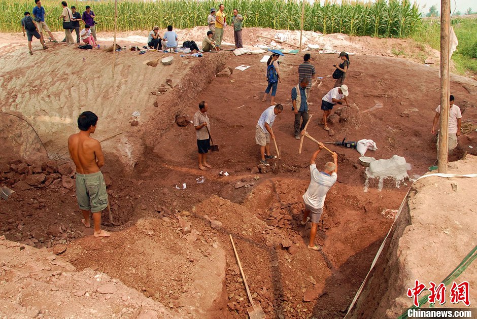 恐龍化石發(fā)掘現(xiàn)場。