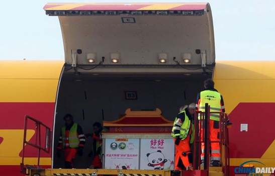 大熊貓“好好”抵達(dá)布魯薩爾國際機(jī)場(chǎng)。記者 付敬 攝