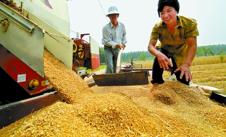 6月3日， 濮陽開發(fā)區(qū)胡村鄉(xiāng)后范莊村的續(xù)秀萍看著新打的粒大飽滿的小麥喜上眉梢。