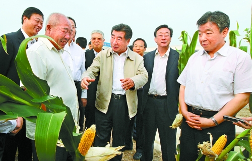 圖為回良玉在鄧州市腰店鄉(xiāng)草寺村視察萬畝玉米高產(chǎn)示范方。