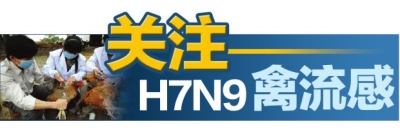 關(guān)注H7N9禽流感 關(guān)注H7N9禽流感