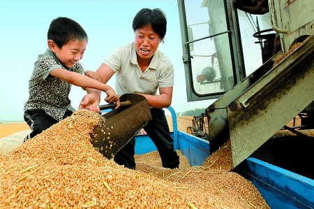 5月27日，確山縣劉店鎮(zhèn)前槽村郭景蓮和小孫子一起收獲小麥，豐收的喜悅寫在了臉上。