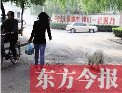 啟明一巷內(nèi)，一名女子帶著狗狗去買菜。狗隨地大小便，狗的主人未制止