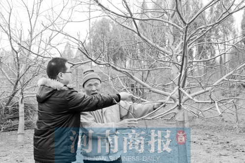 老人領(lǐng)著來(lái)訪者來(lái)看他親手種的樹,他雖然眼睛看不見,但能用手摸到樹的成長(zhǎng) 記者 唐韜/攝 老人領(lǐng)著來(lái)訪者來(lái)看他親手種的樹,他雖然眼睛看不見,但能用手摸到樹的成長(zhǎng) 記者 唐韜/攝