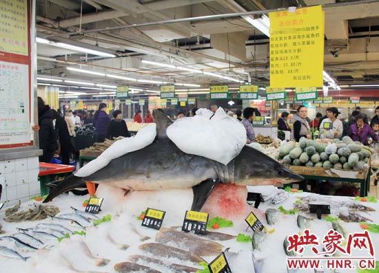 鄭州市一家超市海鮮區(qū)的冰架上赫然擺著一整條鯊魚在出售，鯊魚肉價格為23.80元每斤，遠低于牛羊肉的價