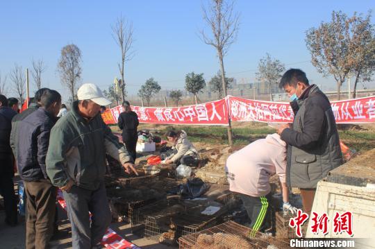 圖為百余名愛(ài)狗人士把老李的貨車(chē)攔截，數(shù)十人正在從貨車(chē)上卸下裝滿狗的鐵籠?！●R義恒　攝