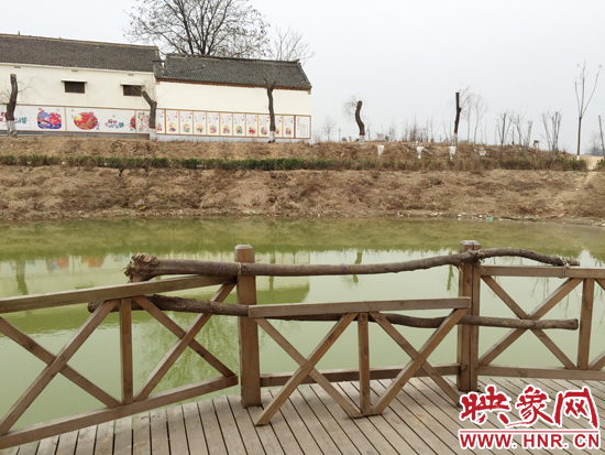 護(hù)欄損毀的地方，已經(jīng)被兩根樹(shù)干擋住。