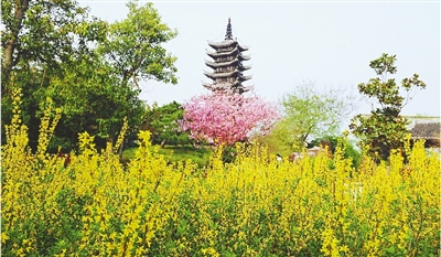 綠博園盛開的鮮花“期待”和市民“約會(huì)”。