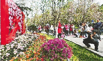 市民紛紛將鏡頭對(duì)準(zhǔn)花叢。