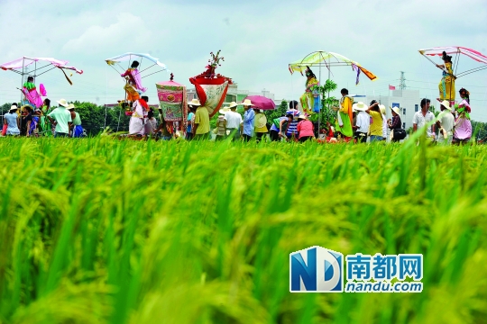 崖口村每年都在村里舉行飄色巡游活動(dòng)。