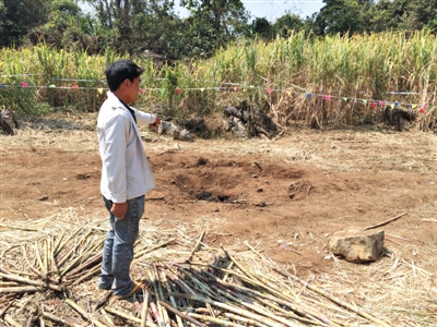 昨日，在大水桑樹村，村民向記者展示13日造成5死8傷的炸彈事件彈坑。