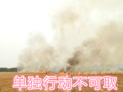 不要單獨一個人亂沖亂打：單獨行動被煙氣沖昏倒地，無人發(fā)覺被燒；