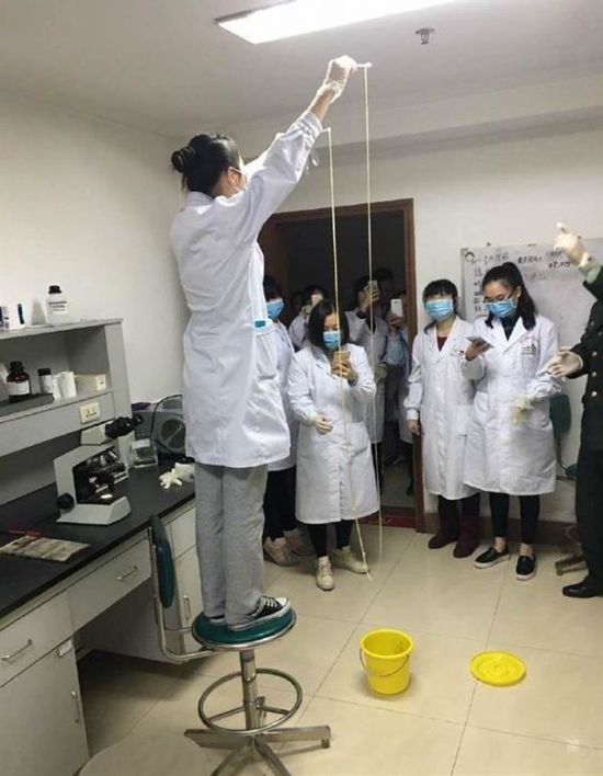 愛吃生肉惹的禍！男子體內(nèi)取出5米長寄生蟲(圖)
