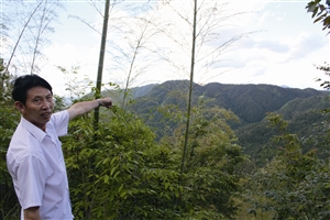 村民吳學田告訴記者，對面兩座山就是潘建友承包的部分山場 見習記者 邱一文 攝