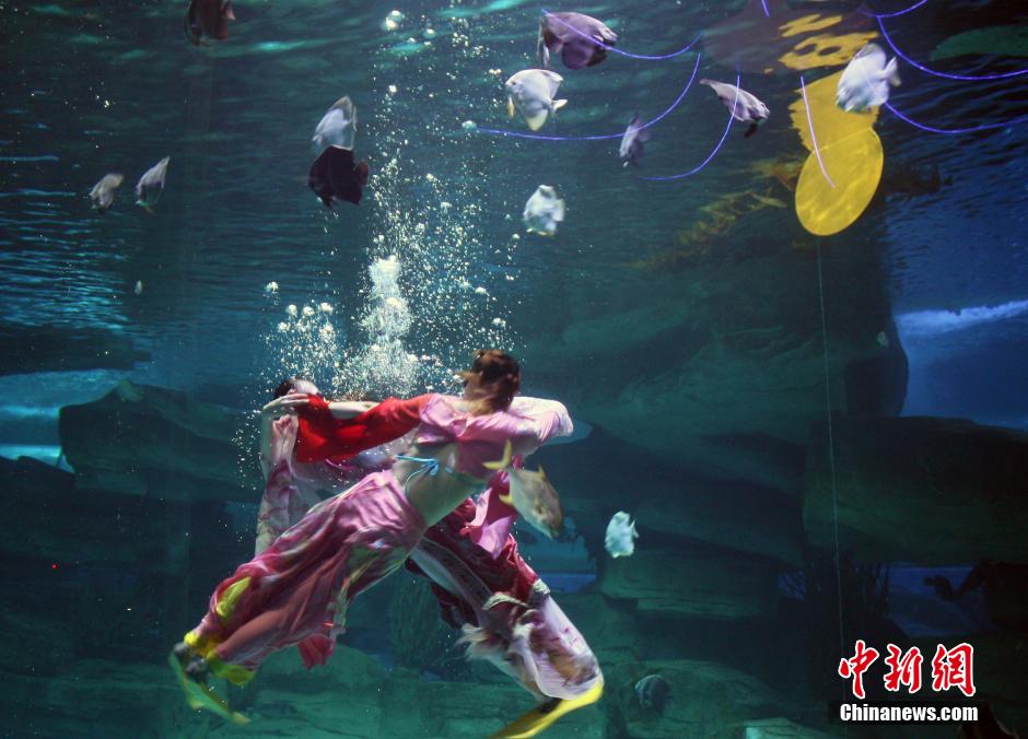 9月7日，在中秋節(jié)到來(lái)前一天，山東泉城海洋極地世界為游客帶來(lái)“嫦娥水中奔月”表演。