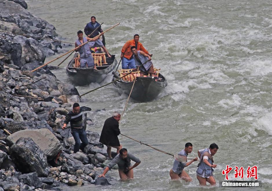 纖夫在神農(nóng)溪畔牽引木船溯溪而上。