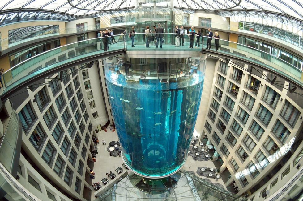 在圓柱水族館主體下方，還有一些別的展館。