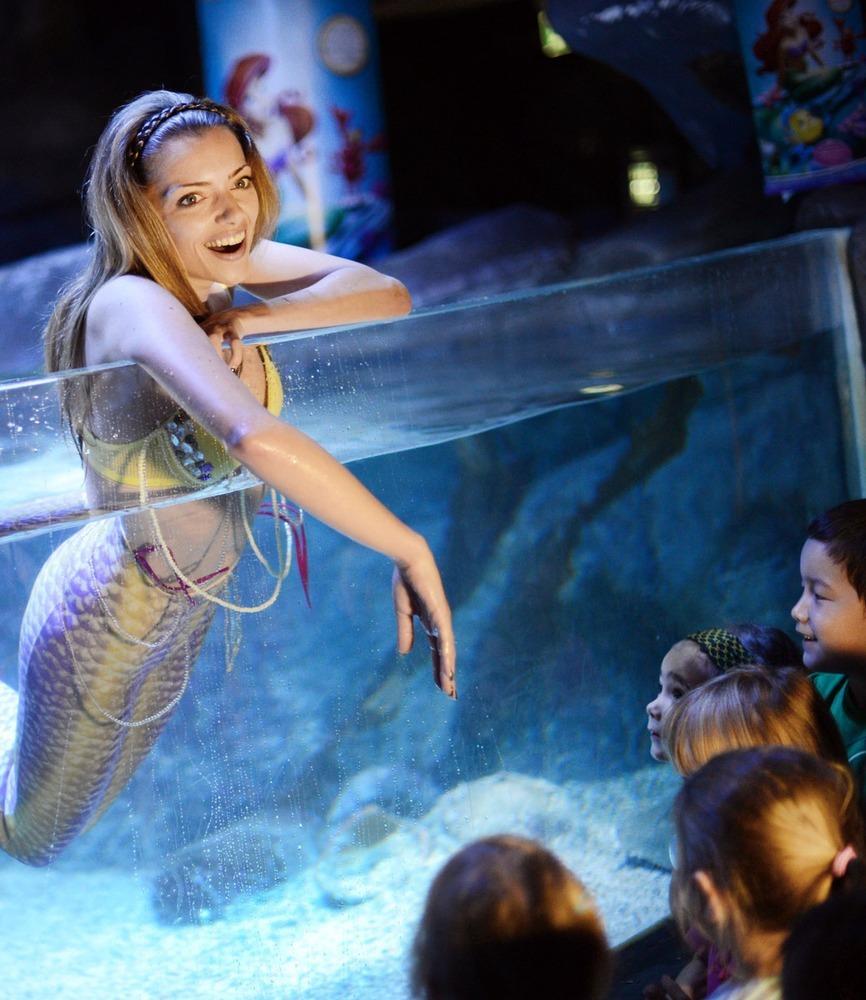 德國(guó)女演員安妮·門登在水族館里客串了一把“美人魚”，順便為她的電影《小美人魚》做宣傳。