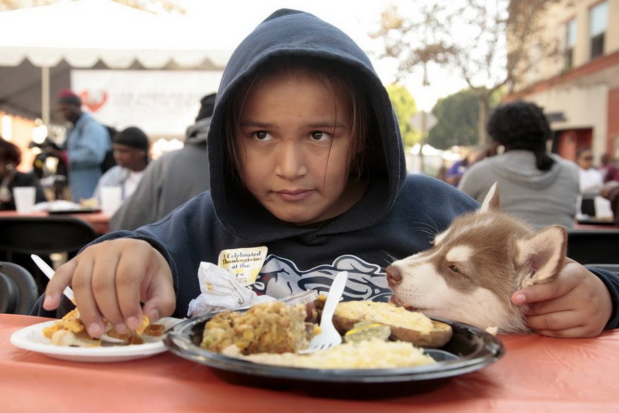 11月21日，加州洛杉磯的游民巷，12歲的堂娜·赫南德茲抱著愛犬“湯米”，安靜地吃著免費的感恩節(jié)飯菜