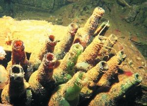 長(zhǎng)滿水藻的日本清酒瓶。