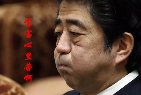 這種看安倍“熱鬧”的事兒，環(huán)環(huán)絕不私藏，一定雨露均沾!