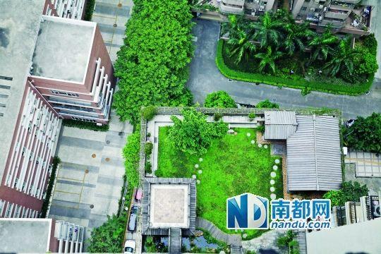 中旅商務大廈的“空中花園”。
