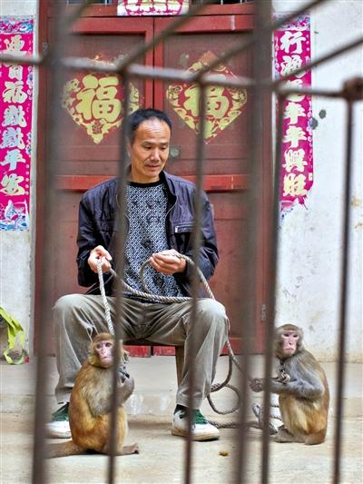 10月13日，耍猴人鮑慶山牽著從牡丹江帶回的兩只小猴在家門口玩耍。