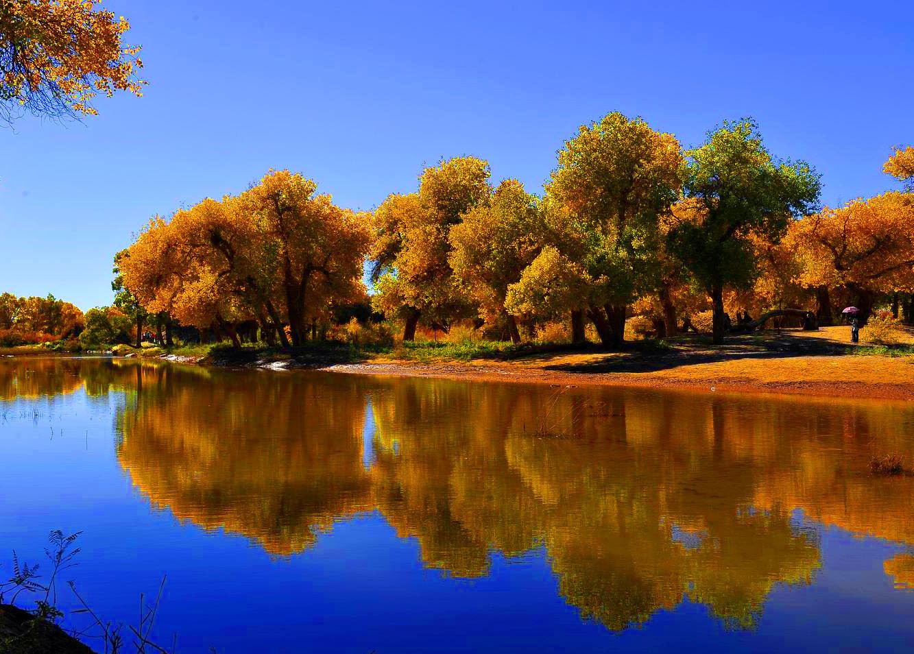 誰(shuí)能禁住五彩世界美妙"色誘" 秋色盡顯"混搭"范兒 誰(shuí)能禁住五彩世界美妙"色誘" 秋色盡顯"混搭"范兒