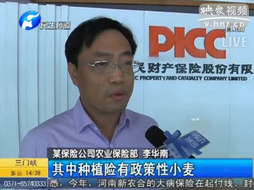 冰雹惹禍 損失能索賠嗎？