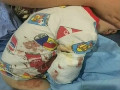 猛獸出沒 注意！2歲男童在動物園被白虎咬掉右臂