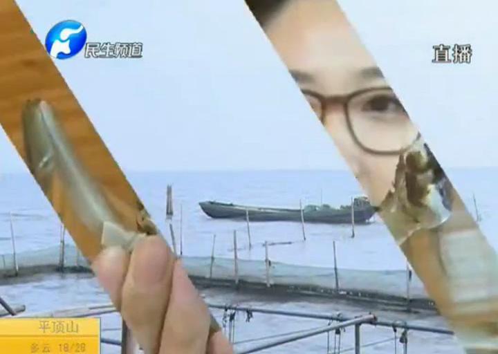 陽澄湖大閘蟹？假的！