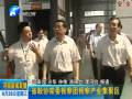 省政協(xié)常委視察團視察產業(yè)集聚區(qū)