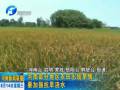 河南部分地區(qū)農田出現(xiàn)旱情 要加強抗旱澆水