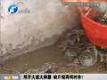 鄭開大道大閘蟹 缺斤短兩何時(shí)休？