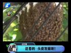 這看的 頭皮發(fā)麻呀！-打漁曬網(wǎng)