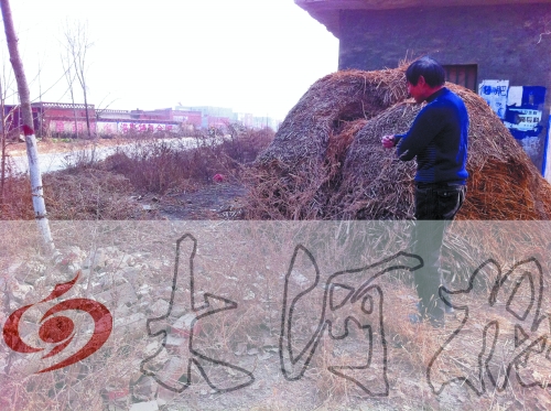 張哥、張弟就是在這兒撿到的投毒面包。